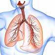 Бронхиальная астма: диагностика и основы базисной терапии