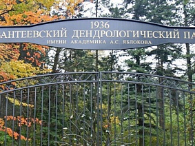 Ивантеевский дендрологический парк имени А.С. Яблокова